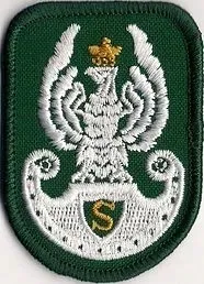 naszywka-orzelek-zs-strzelec-zielony-na-beret-381