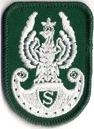 naszywka-orzelek-zs-strzelec-zielony-382