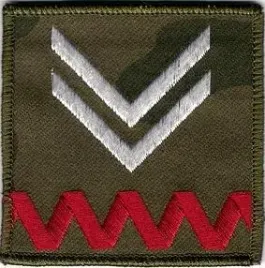 dystynkcja-wyjsciowa-zs-strzelec-stopien-starszy-sierzant-naszywka-na-rzep