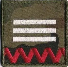 dystynkcja-wyjsciowa-zs-strzelec-stopien-druzynowy-naszywka-na-rzep