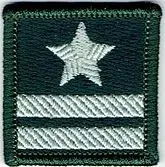 stopien-wp-na-beret-zielony-major-naszywka-1375