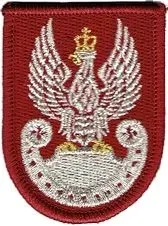 naszywka-orzelek-wp-na-beret-bordowy-950