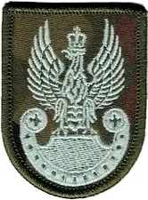 naszywka-orzelek-wp-na-beret-wz93-955