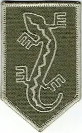 organizacja-wojskowa-zwiazek-jaszczurczy-ow-zj-nsz-zj-naszywka-oliv-green