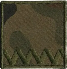 dystynkcja-polowa-zs-strzelec-stopien-strzelec-naszywka-na-rzep