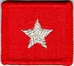 stopien-na-beret-zw-chorazy-naszywka-1306