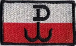 flaga-pw-polska-walczaca-90x55mm-naszywka-200r