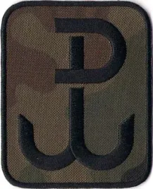 naszywka-pw-polska-walczaca-80x100mm-wz93-194r