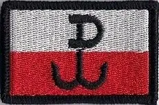 naszywka-polska-walczaca-flaga-pw-55x38mm-179r