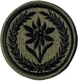 21-brygada-strzelcow-podhalanskich-szarotka-21bsp-naszywka-polowa-khaki