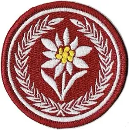 5-batalion-strzelcow-podhalanskich-szarotka-21bsp-naszywka-na-mundur
