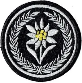 1-batalion-czolgow-szarotka-oznaka-rozpoznawcza-21bsp-naszywka-na-mundur