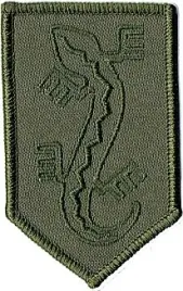 organizacja-wojskowa-zwiazek-jaszczurczy-ow-zj-nsz-zj-naszywka-oliv-green