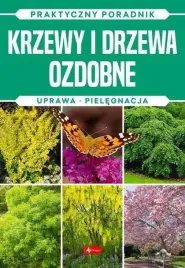 krzewy-i-drzewa-ozdobne-natura-michal-mazik