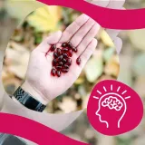 calanoilr-3x-postac-kapsulki-podstawowy-skladnik-kwasy-omega-3