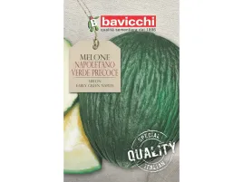 melon-napoletano-verde-precoce-wloskie-nasiona-bavicchi