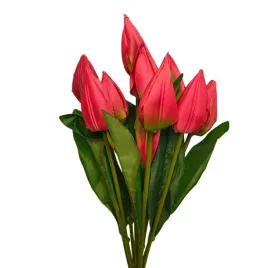 bukiet-tulipan-x9-czerwony
