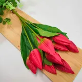 bukiet-tulipan-x9-czerwony-stan-nowy