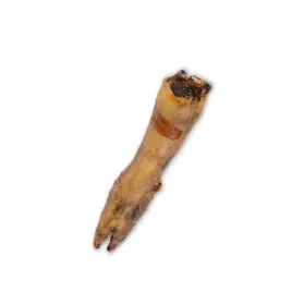 uniszki-naturalna-noga-wieprzowa-gryzaki-przysmaki-dla-psa-1szt