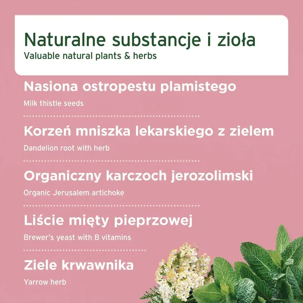 aniforte-proszek-na-watrobe-100g-postac-proszek
