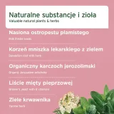 aniforte-proszek-na-watrobe-100g-postac-proszek