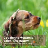 aniforte-proszek-na-watrobe-100g-rodzaj-suplementy