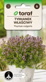 nasiona-toraf-tymianek-wlasciwy-0-3g
