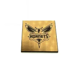 charlotte-hornets-40x40mm-zloty-emblemat-naklejka-logo-koszykowka-zamienn