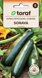 nasiona-toraf-cukinia-soraya-5g