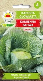 nasiona-toraf-kapusta-glowiasta-kamienna-glowa-2g