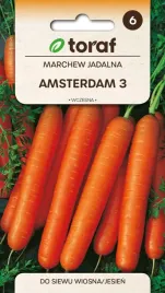 nasiona-toraf-marchew-jadalna-amsterdam-3-5g