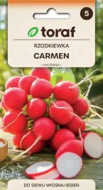 nasiona-toraf-rzodkiew-carmen-10g
