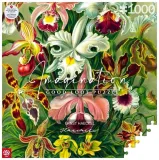 puzzle-1000-ernst-haeckel-orchidea-orchid