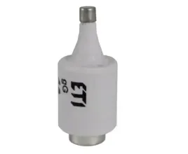 wkladka-topikowa-zwloczna-bezpiecznik-dii-gg-16a-500v-002312405-eti