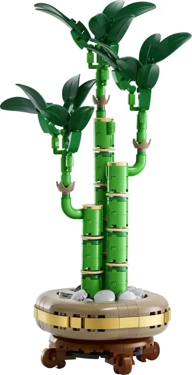 lego-botanicals-dracena-sandera