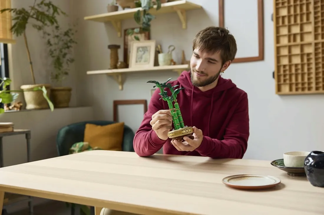 lego-botanicals-dracena-sandera