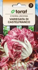 cykoria-lisciowa-variegata-nasiona-warzyw-5g-toraf