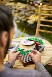 lego-botanicals-drzewko-bonsai