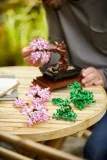 lego-botanicals-drzewko-bonsai