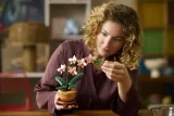 lego-botanicals-mala-orchidea