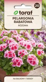 pelargonia-rabatowa-rozowa-f2-nasiona-kwiatow-005g-toraf