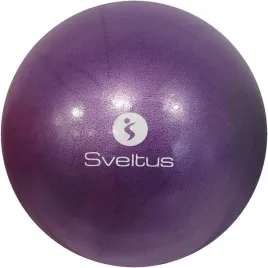 pilka-do-balansowania-sveltus-25-cm-roze-i-fiolety