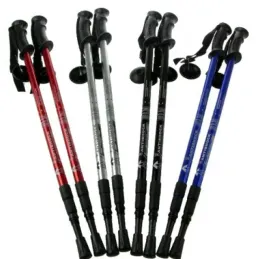 kijki-nordic-walking-trekkingowe-kije-komplet-2szt