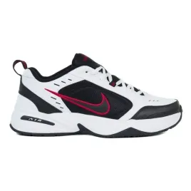 air-monarch-iv