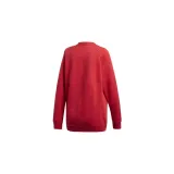 oversized-swea-kod-producenta-dh3140