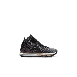 lebron-xvii