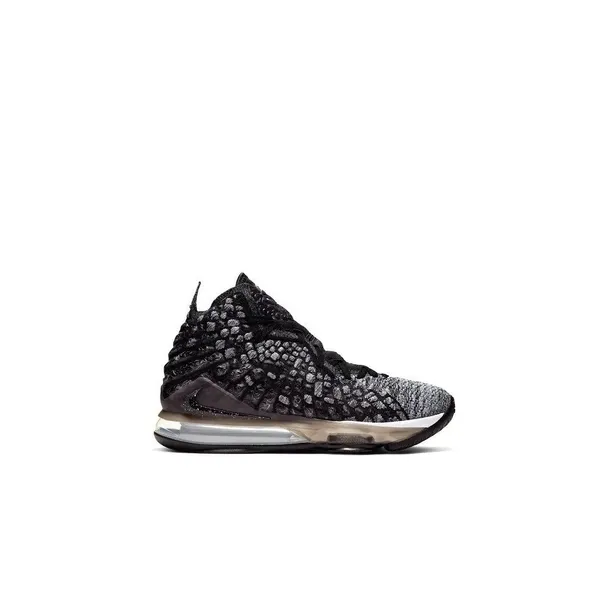 lebron-xvii