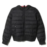 bomber