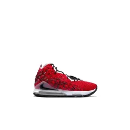 lebron-xvii