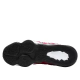 lebron-xvii-marka-nike